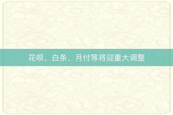 花呗、白条、月付等将迎重大调整