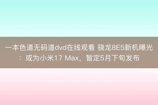一本色道无码道dvd在线观看 骁龙8E5新机曝光：或为小米17 Max，暂定5月下旬发布