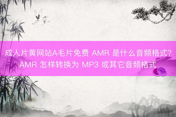 成人片黄网站A毛片免费 AMR 是什么音频格式？AMR 怎样转换为 MP3 或其它音频格式