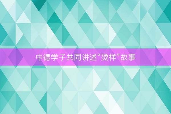中德学子共同讲述“烫样”故事