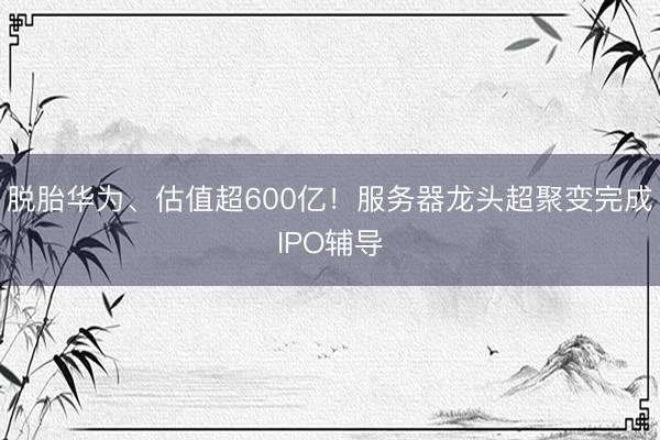 脱胎华为、估值超600亿！服务器龙头超聚变完成IPO辅导
