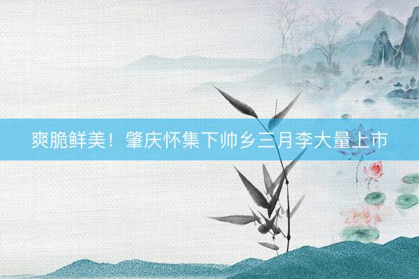 爽脆鲜美！肇庆怀集下帅乡三月李大量上市