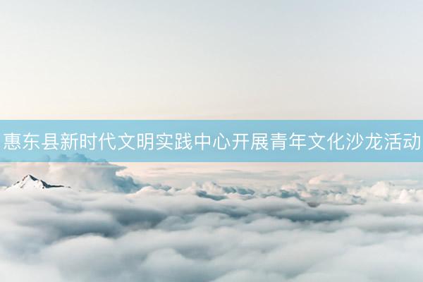 惠东县新时代文明实践中心开展青年文化沙龙活动