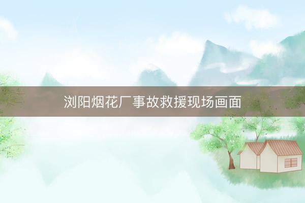 浏阳烟花厂事故救援现场画面
