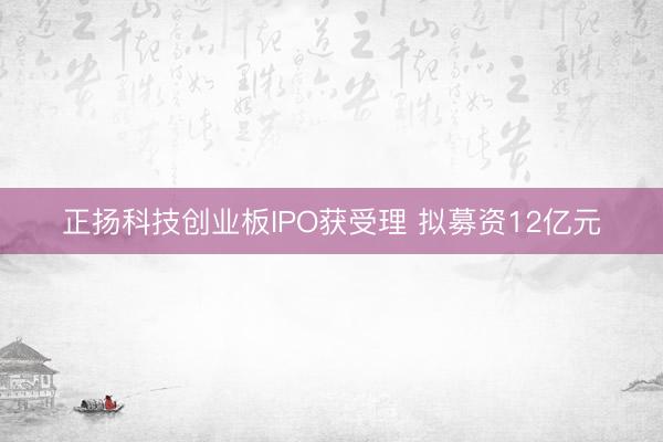 正扬科技创业板IPO获受理 拟募资12亿元