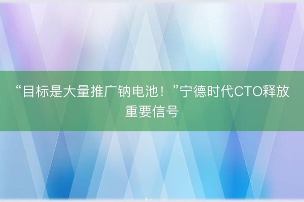 “目标是大量推广钠电池！”宁德时代CTO释放重要信号
