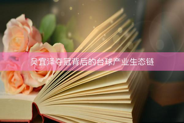 吴宜泽夺冠背后的台球产业生态链