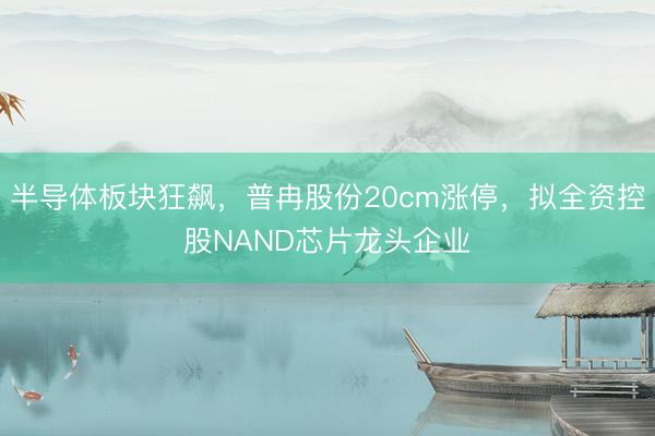半导体板块狂飙，普冉股份20cm涨停，拟全资控股NAND芯片龙头企业