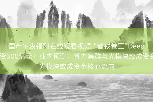 国产午夜福利在线观看视频 “省钱卷王”DeepSeek拟融资500亿元？业内预测：算力集群与光模块或成资金核心流向