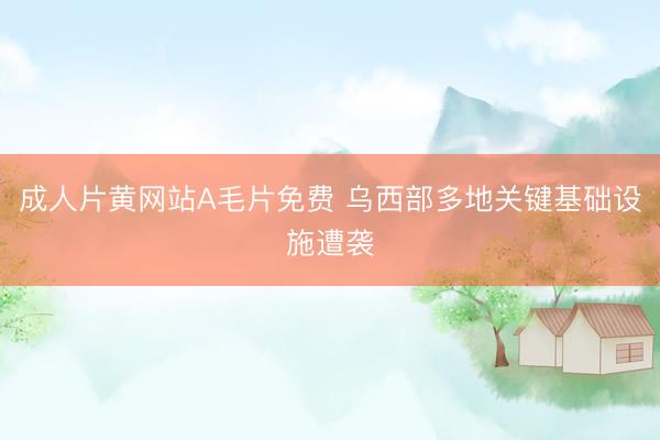 成人片黄网站A毛片免费 乌西部多地关键基础设施遭袭