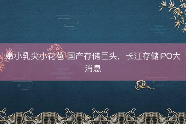 嫩小乳尖小花苞 国产存储巨头，长江存储IPO大消息