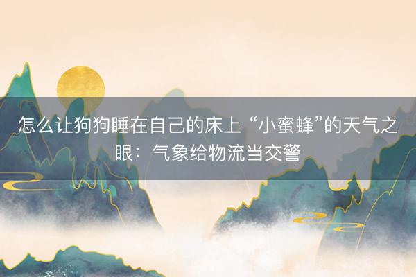 怎么让狗狗睡在自己的床上 “小蜜蜂”的天气之眼:气象给物流当交警