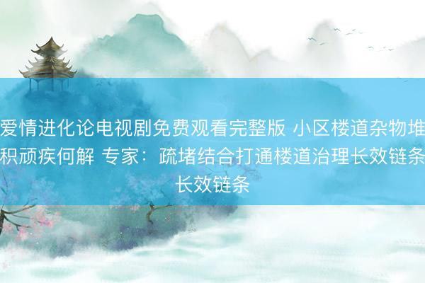 爱情进化论电视剧免费观看完整版 小区楼道杂物堆积顽疾何解 专家：疏堵结合打通楼道治理长效链条