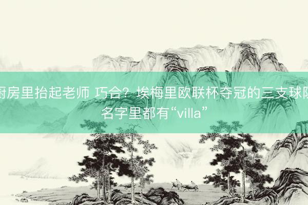 厨房里抬起老师 巧合？埃梅里欧联杯夺冠的三支球队名字里都有“villa”