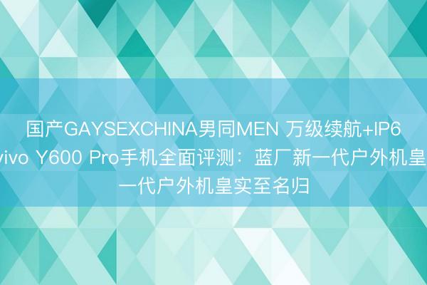国产GAYSEXCHINA男同MEN 万级续航+IP68防水！vivo Y600 Pro手机全面评测：蓝厂新一代户外机皇实至名归