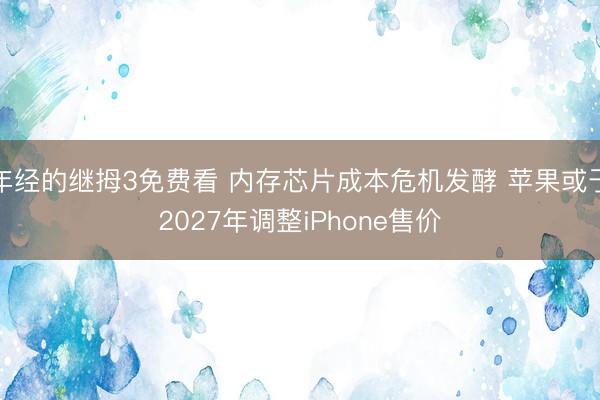 年经的继拇3免费看 内存芯片成本危机发酵 苹果或于2027年调整iPhone售价