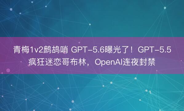 青梅1v2鹧鸪哨 GPT-5.6曝光了！GPT-5.5疯狂迷恋哥布林，OpenAI连夜封禁