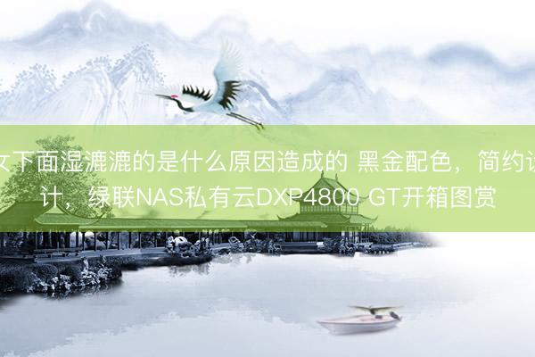 女下面湿漉漉的是什么原因造成的 黑金配色，简约设计，绿联NAS私有云DXP4800 GT开箱图赏