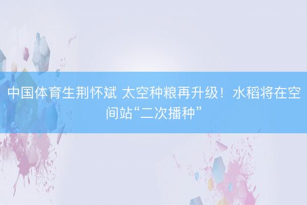 中国体育生荆怀斌 太空种粮再升级！水稻将在空间站“二次播种”