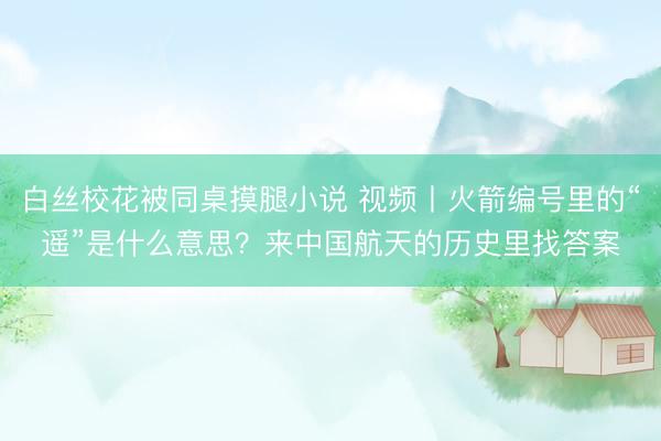 白丝校花被同桌摸腿小说 视频丨火箭编号里的“遥”是什么意思？来中国航天的历史里找答案