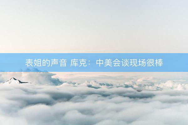 表姐的声音 库克：中美会谈现场很棒