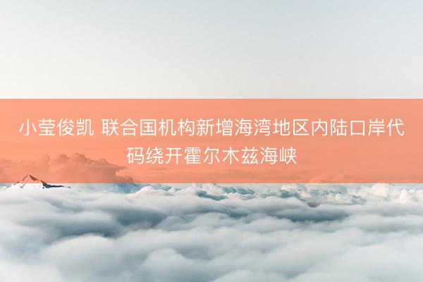 小莹俊凯 联合国机构新增海湾地区内陆口岸代码绕开霍尔木兹海峡