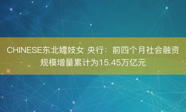 CHINESE东北嫖妓女 央行：前四个月社会融资规模增量累计为15.45万亿元