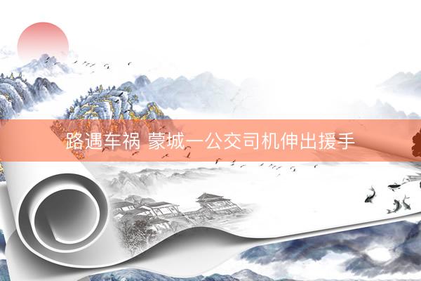 路遇车祸 蒙城一公交司机伸出援手