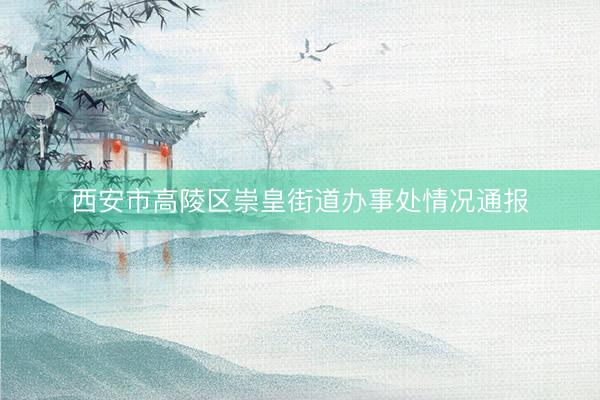 西安市高陵区崇皇街道办事处情况通报