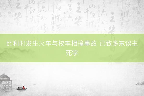 比利时发生火车与校车相撞事故 已致多东谈主死字