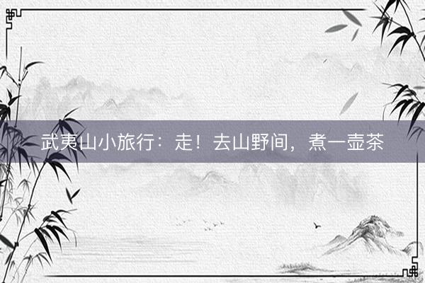 武夷山小旅行：走！去山野间，煮一壶茶