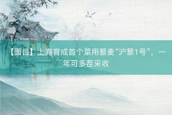 【面目】上海育成首个菜用藜麦“沪藜1号”,一年可多茬采收