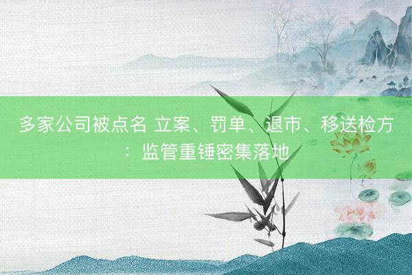 多家公司被点名 立案、罚单、退市、移送检方：监管重锤密集落地