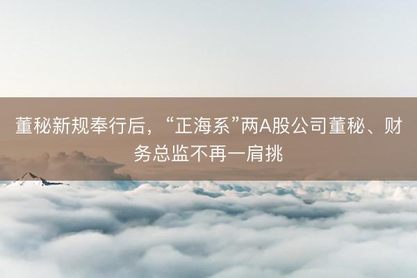 董秘新规奉行后，“正海系”两A股公司董秘、财务总监不再一肩挑