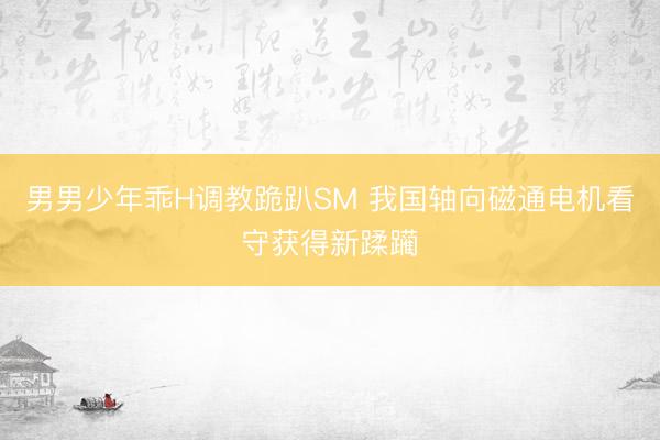 男男少年乖H调教跪趴SM 我国轴向磁通电机看守获得新蹂躏