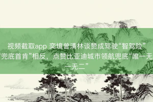 视频截取app 奕境曾清林谈赞成驾驶“智驾险”和“兜底首肯”相反,点赞比亚迪城市领航兜底“唯一无二”