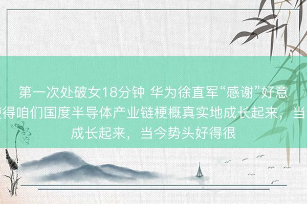 第一次处破女18分钟 华为徐直军“感谢”好意思国制裁：使得咱们国度半导体产业链梗概真实地成长起来，当今势头好得很