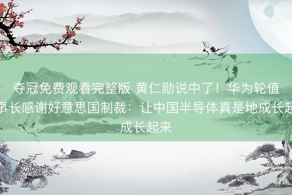 夺冠免费观看完整版 黄仁勋说中了！华为轮值董事长感谢好意思国制裁：让中国半导体真是地成长起来