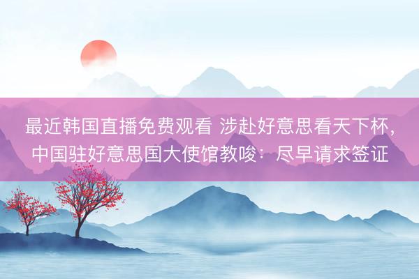 最近韩国直播免费观看 涉赴好意思看天下杯，中国驻好意思国大使馆教唆：尽早请求签证