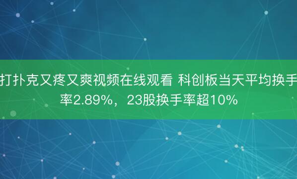 打扑克又疼又爽视频在线观看 科创板当天平均换手率2.89%，23股换手率超10%
