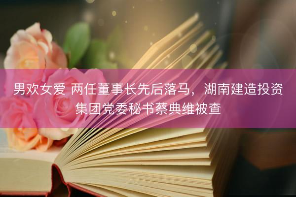 男欢女爱 两任董事长先后落马，湖南建造投资集团党委秘书蔡典维被查