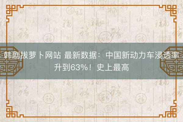 韩剧拔萝卜网站 最新数据：中国新动力车浸透率升到63%！史上最高