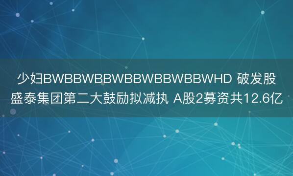 少妇BWBBWBBWBBWBBWBBWHD 破发股盛泰集团第二大鼓励拟减执 A股2募资共12.6亿