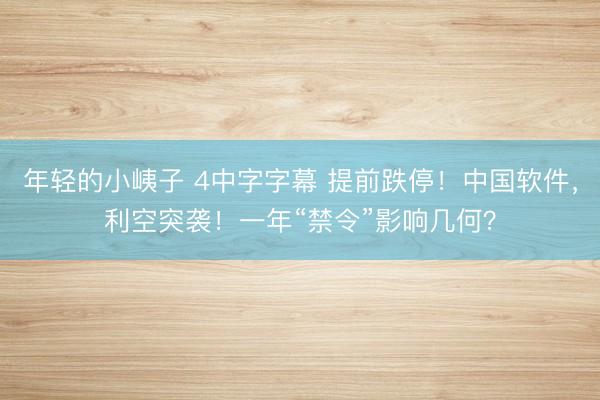 年轻的小峓子 4中字字幕 提前跌停！中国软件，利空突袭！一年“禁令”影响几何？