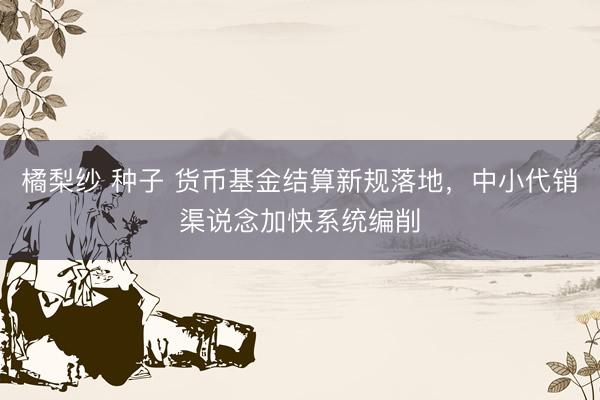 橘梨纱 种子 货币基金结算新规落地，中小代销渠说念加快系统编削