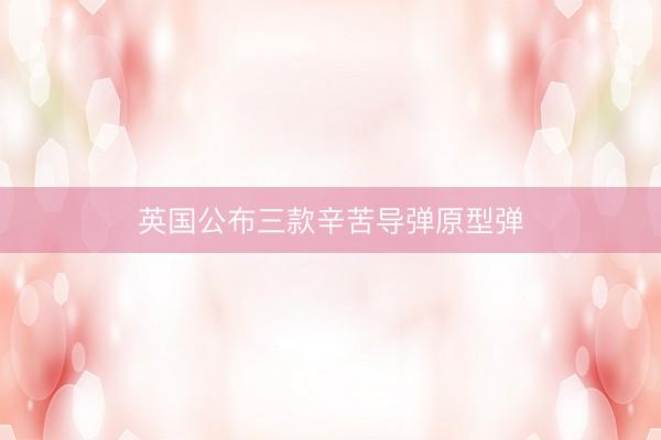 英国公布三款辛苦导弹原型弹